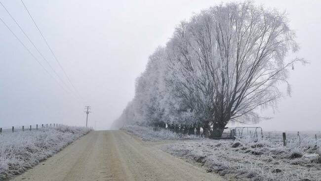 Single digit temps: New Zealand shivers as mercury plunges below zero, -5.2C at Dunedin Airport