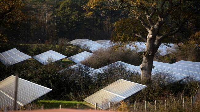 CBI chief urges UK to counter US and EU ‘arms race’ on green subsidies