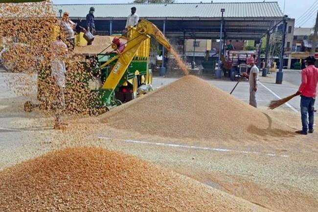 Give ration, 2 free meals/day to migrant workers, SC tells Centre, Delhi, UP and Haryana