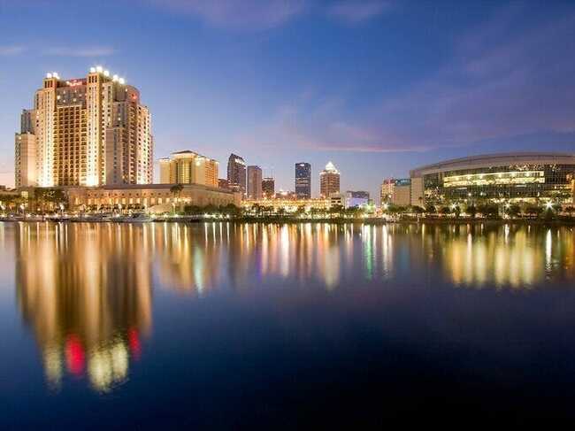 The 9 best Tampa hotels, from sprawling family resorts to decadent luxury hotels - and every single one has a must-visit pool