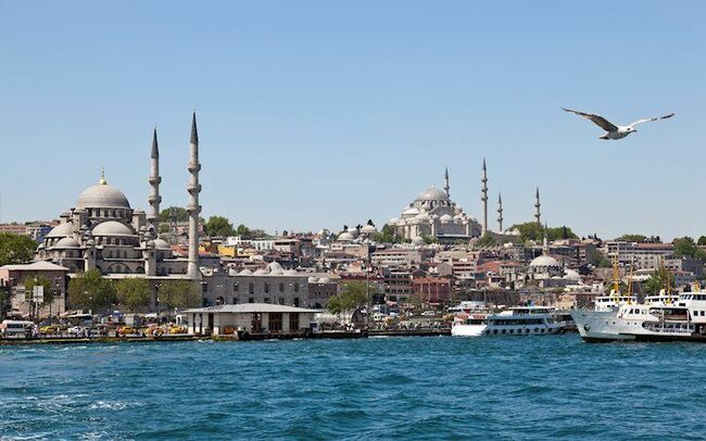 Turkey calls on Muslims to take clear stance over Gaza, Israel attacks from the ground and air