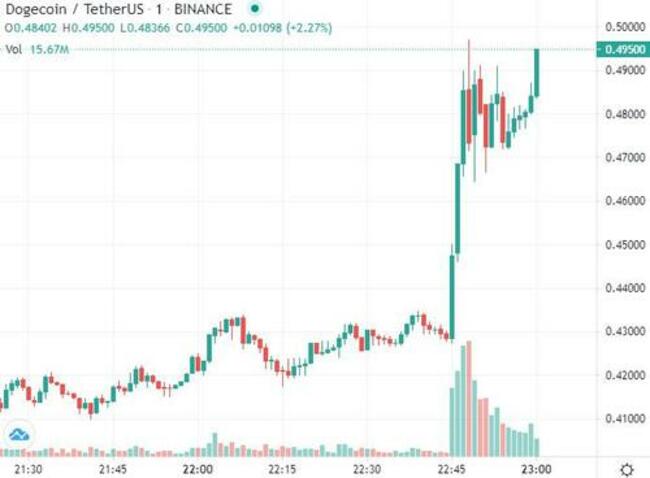 Dogecoin Soars After Musk Tweets "Working With Doge Developers To Improve System Efficiency"