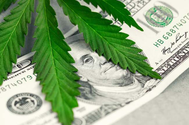 Trulieve Cannabis Dips 1.6% on Mixed Q1