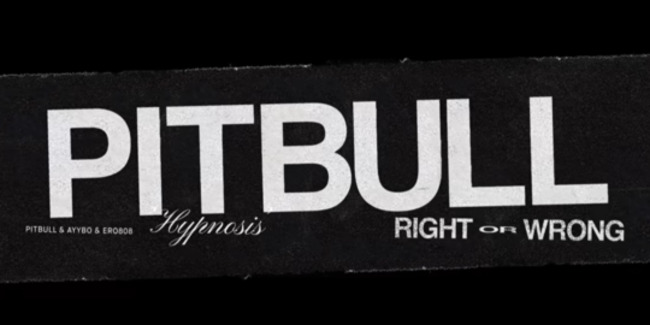 Lirik Lagu Pitbull x AYYBO x ero808