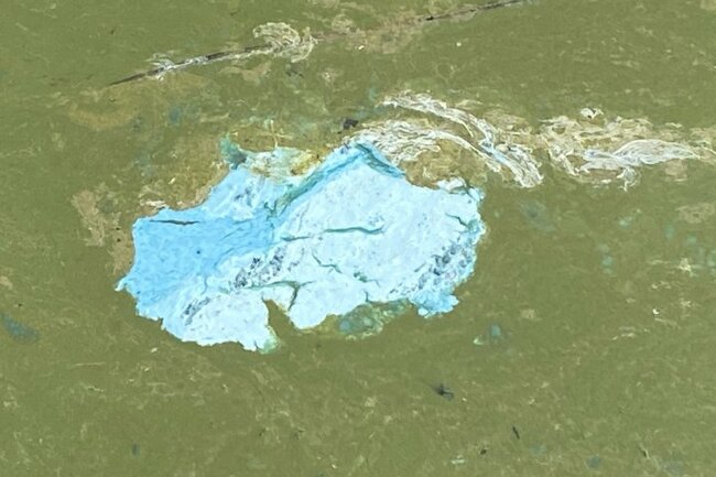 Interior Health deems algae bloom on Wood Lake a low health risk to public