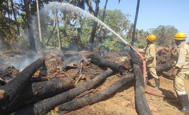 Goa: Bypass contractor told to cart away firewood