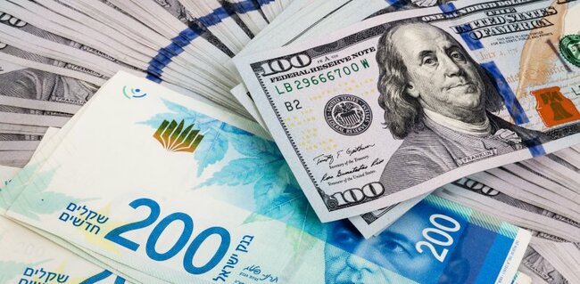 Shekel fails to sustain rally