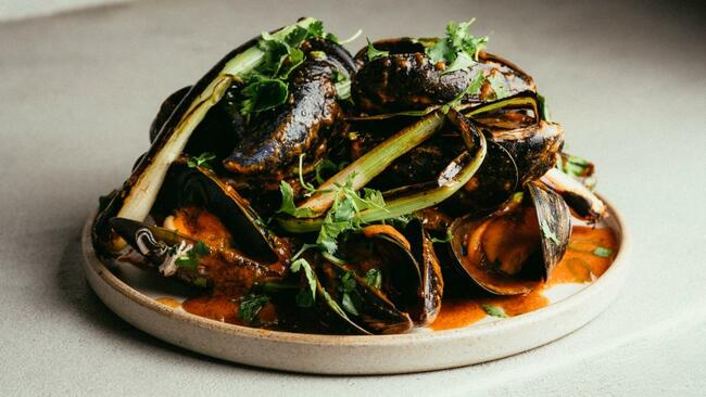 Scamp, Glasgow review— the perfect place for a city centre lunch