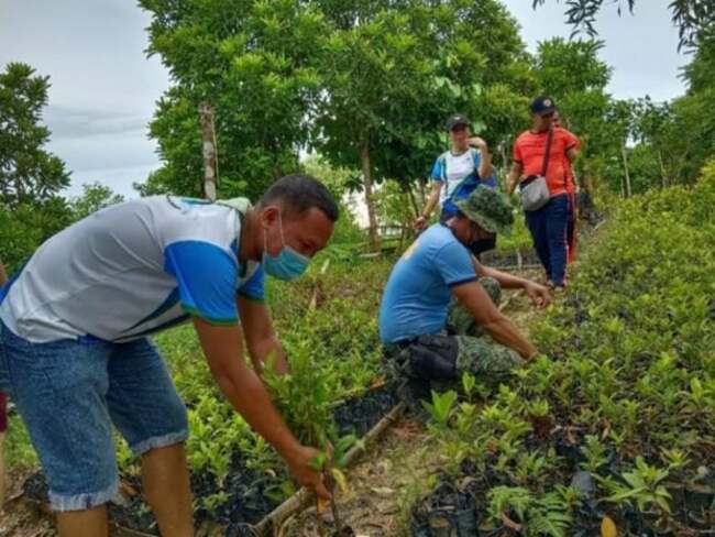 Manila Water plants 1.4 million trees under its watershed protection and management program