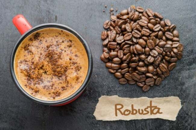 DA, Nestlé ink deal to boost Philippines' Robusta output