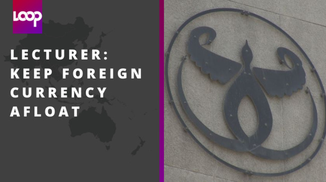 Lecturer: Keep foreign currency afloat