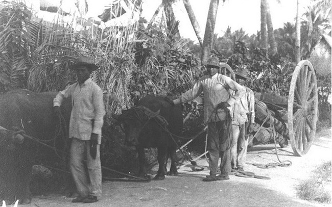 Get to know Guam: Yigo