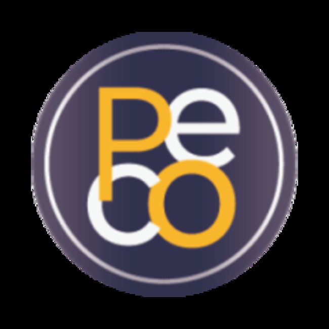 1peco (1PECO) Price Down 9.3% Over Last Week