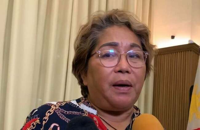 In case of transport strike in Cebu City, gov't readies buses