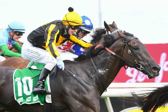 Swan Hill hoop Coffey in multi-million dollar dilemma
