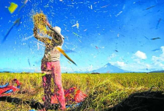 Senate OKs bills condoning farmers' debts, creating ARAL Program on 3rd reading