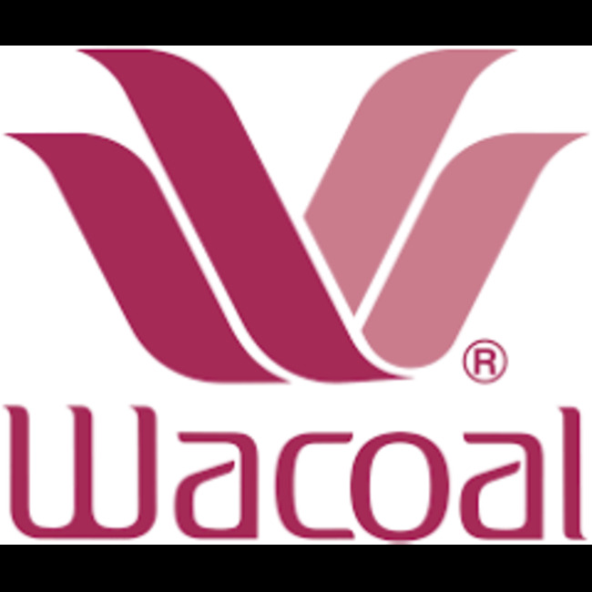 Wacoal (OTCMKTS:WACLY) Hits New 12-Month High at $88.00