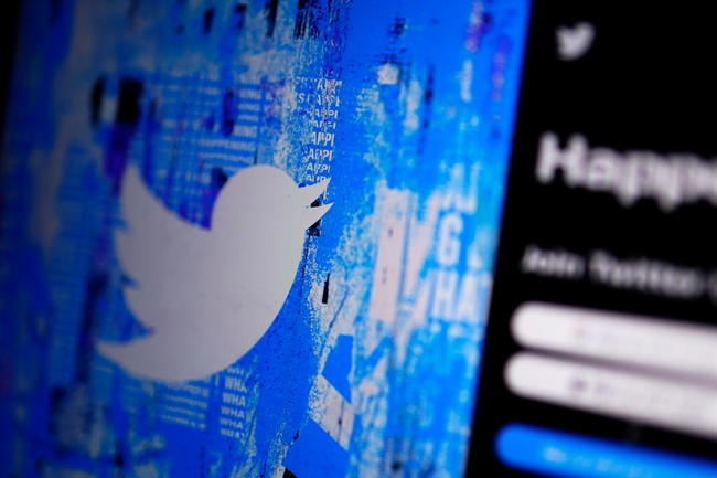 Thousands of pro-Trump bots attack Haley, DeSantis on Twitter