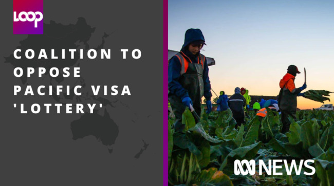 Coalition to oppose Pacific visa 'lottery' to bring more workers to Australia