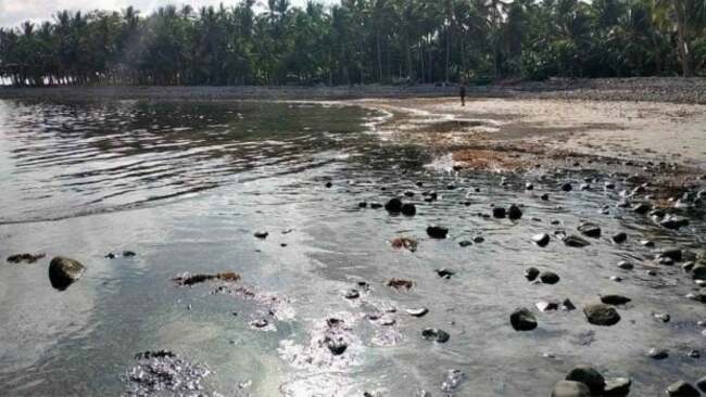 Fishers' group calls for subsidy for oil spill-affected fishing families