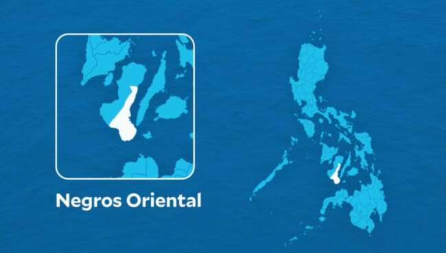 Cops in Bayawan City, where suspects in Degamo murder fled, axed