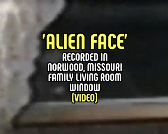 'ALIEN FACE' Recorded in Norwood, Missouri Family Living Room Window (VIDEO)
