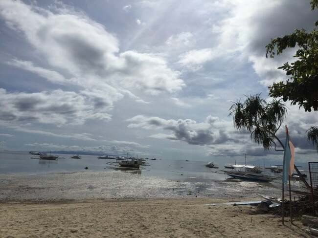 Bohol bans pork, pork products from Cebu, Cebu City due to ASF