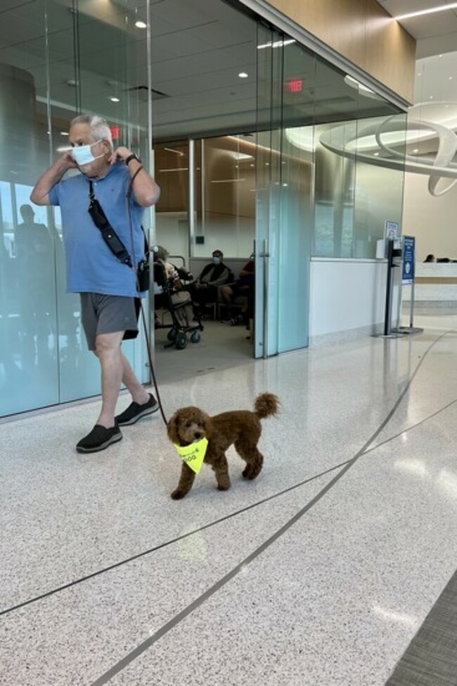 A personal service dog at the cancer center