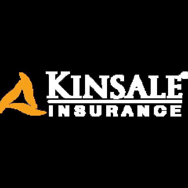 Kinsale Capital Group, Inc. (NYSE:KNSL) CEO Sells $1,110,550.00 in Stock