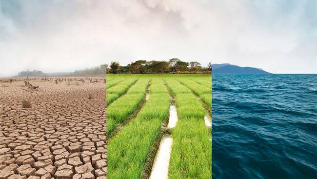 Climate change waits for no-one: Rod Carr