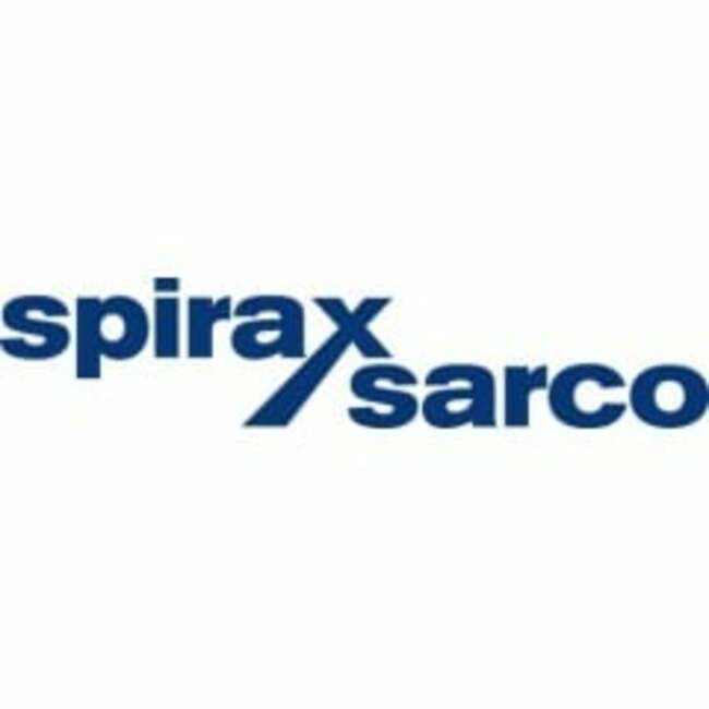 Financial Survey: Capstone Mining (OTCMKTS:CSFFF) and Spirax-Sarco Engineering (OTCMKTS:SPXSF)