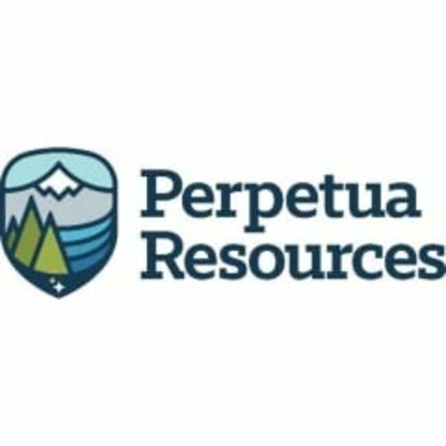 Perpetua Resources (TSE:PPTA) Trading 3% Higher
