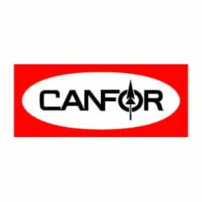 Canfor Pulp Products (OTCMKTS:CFPUF) Stock Crosses Below Two Hundred Day Moving Average of $3.42