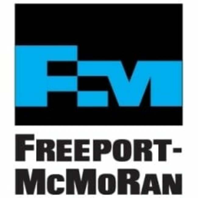 Northeast Financial Consultants Inc Acquires 1,320 Shares of Freeport-McMoRan Inc. (NYSE:FCX)