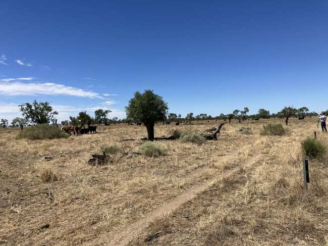 Call for cautious use of rejuvenated flood plains