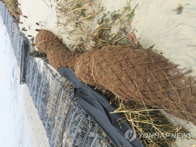 Coconuts Shoreline Protection