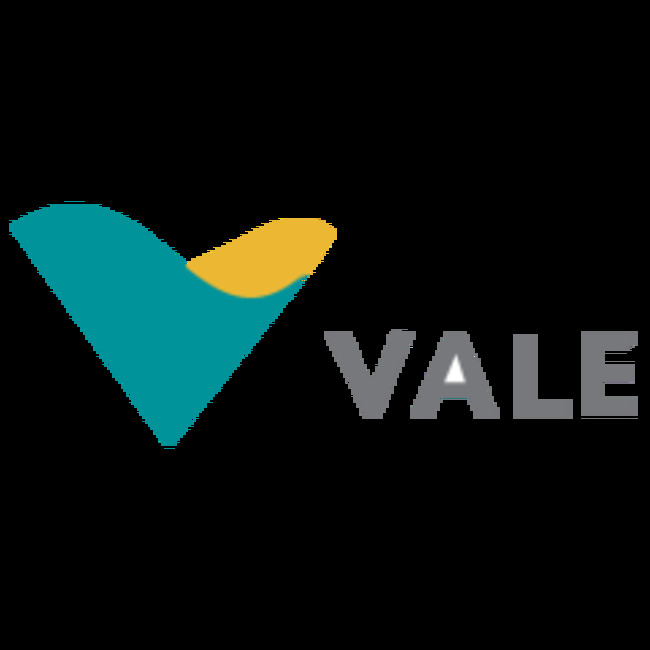 Vale S.A. (VALE) to Issue Semi-annual Dividend of $0.35 on March 29th