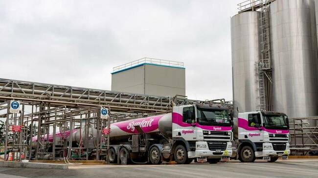 Synlait issues profit warning