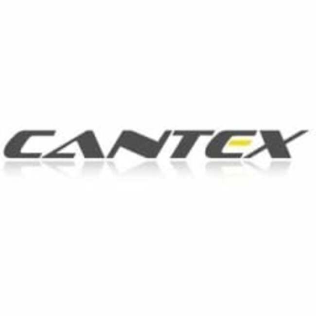 Cantex Mine Development (CVE:CD) Shares Down 3.1%