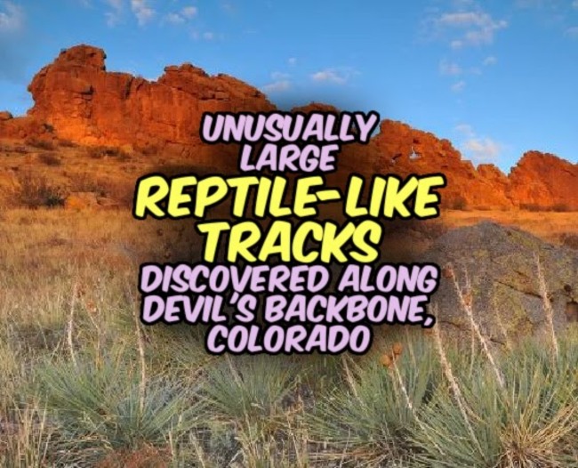 Unusually Large REPTILE-LIKE TRACKS Discovered Along Devil's Backbone, Colorado