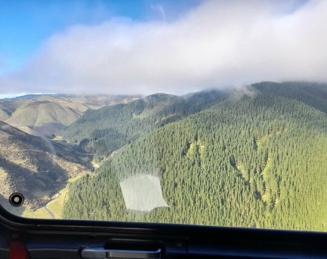 Carbon forestry won't take over all the good farming country
