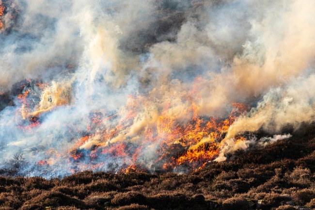 Smoke from planned fuel-reduction burns no cause for worry