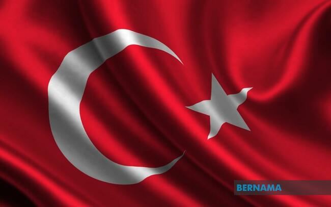 Turkiye condemns attack on Muslim holy book, Turkish flag in Denmark