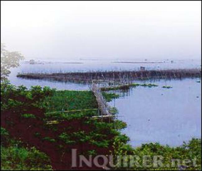 Gatchalian: Make Laguna de Bay a source of water to address supply crisis