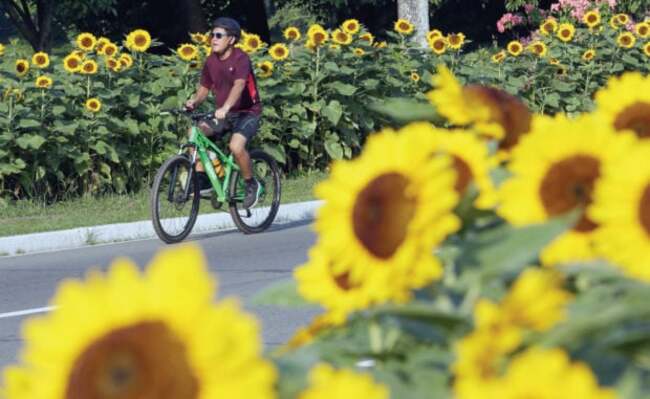 Pagasa: Fair, warm weekend weather nationwide