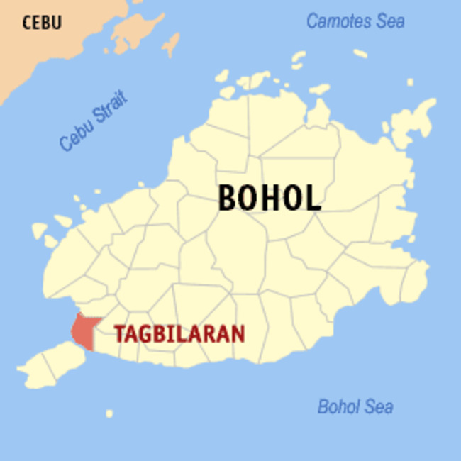 Fire hits poultry processing plant in Ubay town