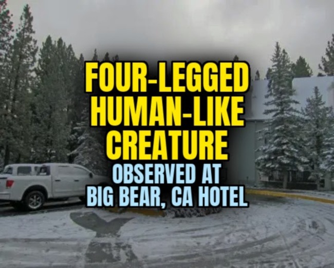 FOUR-LEGGED HUMAN-LIKE CREATURE Observed at Big Bear, CA Hotel