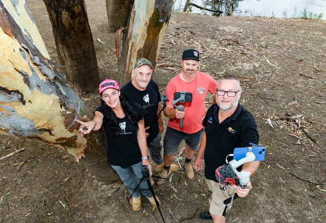 Viewers flood local YouTube channels