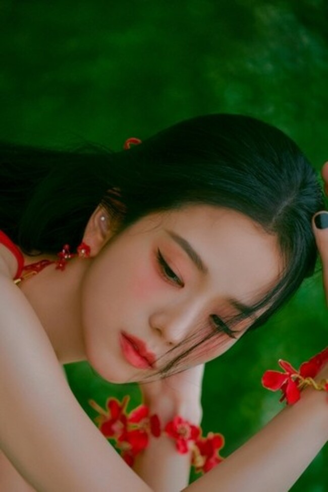 BLACKPINK member-iTunes charts