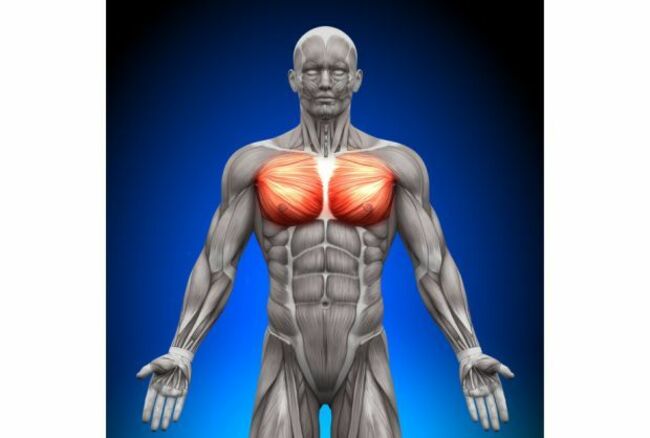 QuickCheck: Is it true that the human body literally glows?